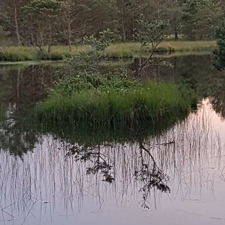Domek Przy Zurawiu Dom wakacyjny